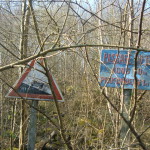 Signalisation routière indiquant un passage à niveau, entourée de broussailles.