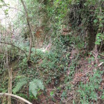 Ruines de mur en briques recouvertes de végétation dans un cadre naturel à Feuguerolles-Bully.