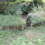 Ruin d'un mur recouvert de végétation près d'un cours d'eau dans un environnement rural.
