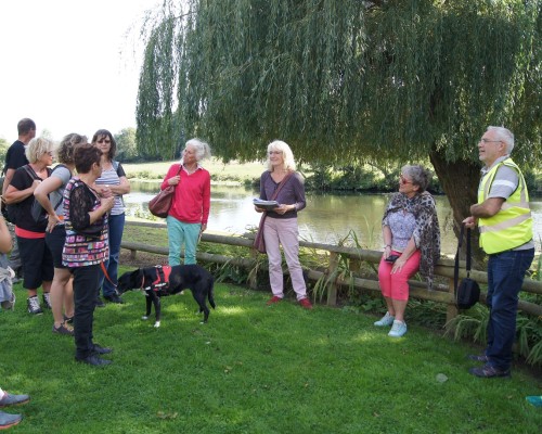 Groupe de personnes réunies au bord d'un plan d'eau, avec un chien, sous un arbre, par une journée ensoleillée.