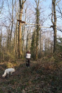 Un homme observe une structure en bois dans les arbres, accompagné d'un chien, dans une forêt près de Feuguerolles-Bully.