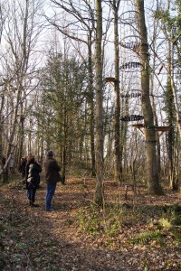 Visiteurs observant un parcours accrobranche en forêt, près de Feuguerolles-Bully.