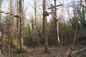 Parcours aventure en hauteur entre les arbres dans une forêt, à Feuguerolles-Bully.