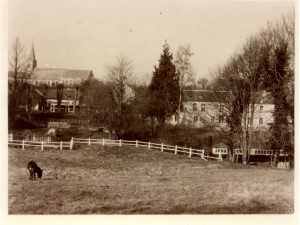 Vue rurale de Feuguerolles-Bully avec un animal paissant, bâtiments et église en arrière-plan.