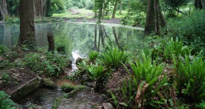 Inauguration officielle du parc du Manoir du Vivier samedi 20 mai 2017 à 15h00