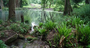 Matinée d’entretien du parc samedi 9 avril 2022