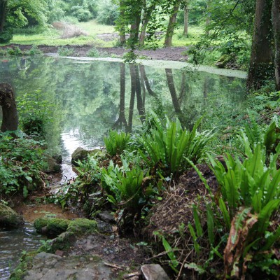 Un étang paisible entouré d'arbres et de verdure, reflétant la nature environnante à Feuguerolles-Bully.
