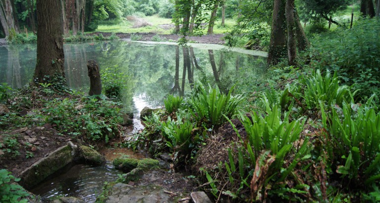 Prochaine matinée d’aménagement du parc du Manoir du Vivier le samedi 22 juin 2019