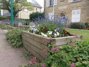 Fleurs colorées en jardinières devant la mairie de Feuguerolles-Bully, avec un bâtiment en pierre en arrière-plan.