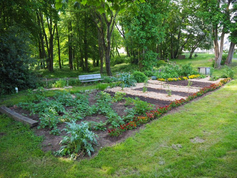 Matinée de nettoyage du jardin partagé samedi 19 octobre 2024