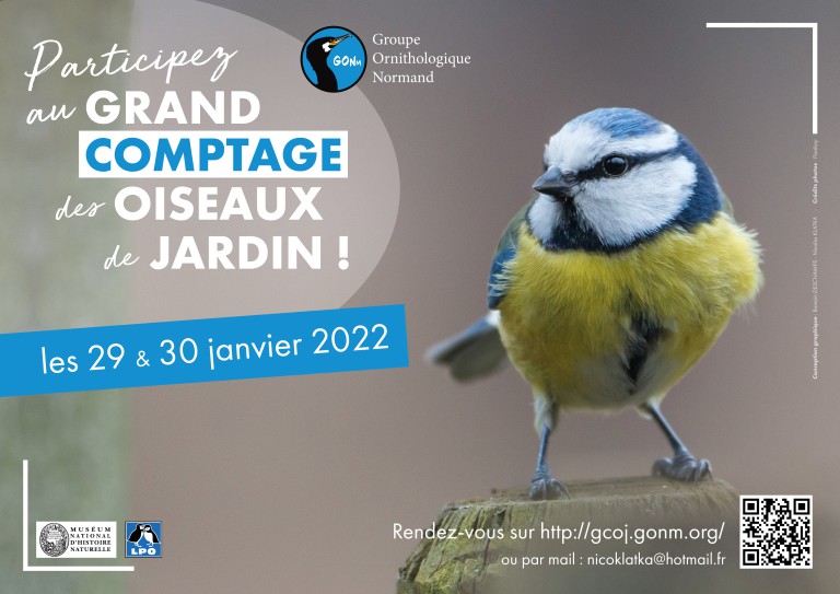 Animation du groupe ornithologique normand dans la commune samedi 29 janvier 2022 dans le cadre du grand comptage des oiseaux de jardin