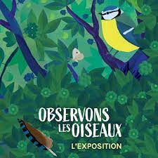 Exposition « observons les oiseaux » à la médiathèque jusqu’au 31 août 2022