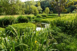 Fermeture temporaire au public des espaces naturels sensibles du Calvados du 3 au 10 novembre 2023